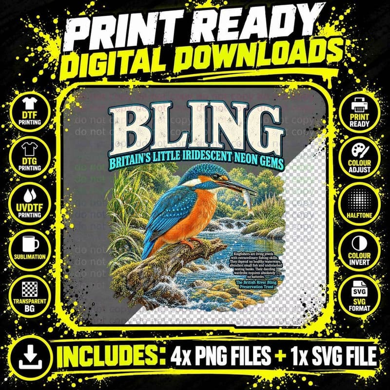 Kingfisher Bird Vintage Wildlife River Fishing Png SVG Digital Bundle