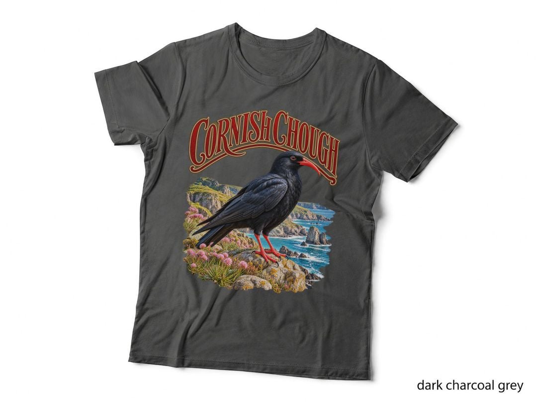 The Lizard Cornwall Vintage Retro Cornish Chough Bird Coastal T-Shirt